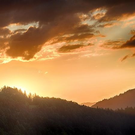 Gostilna Pension Blegos Poljane nad Škofjo Loko Buitenkant foto