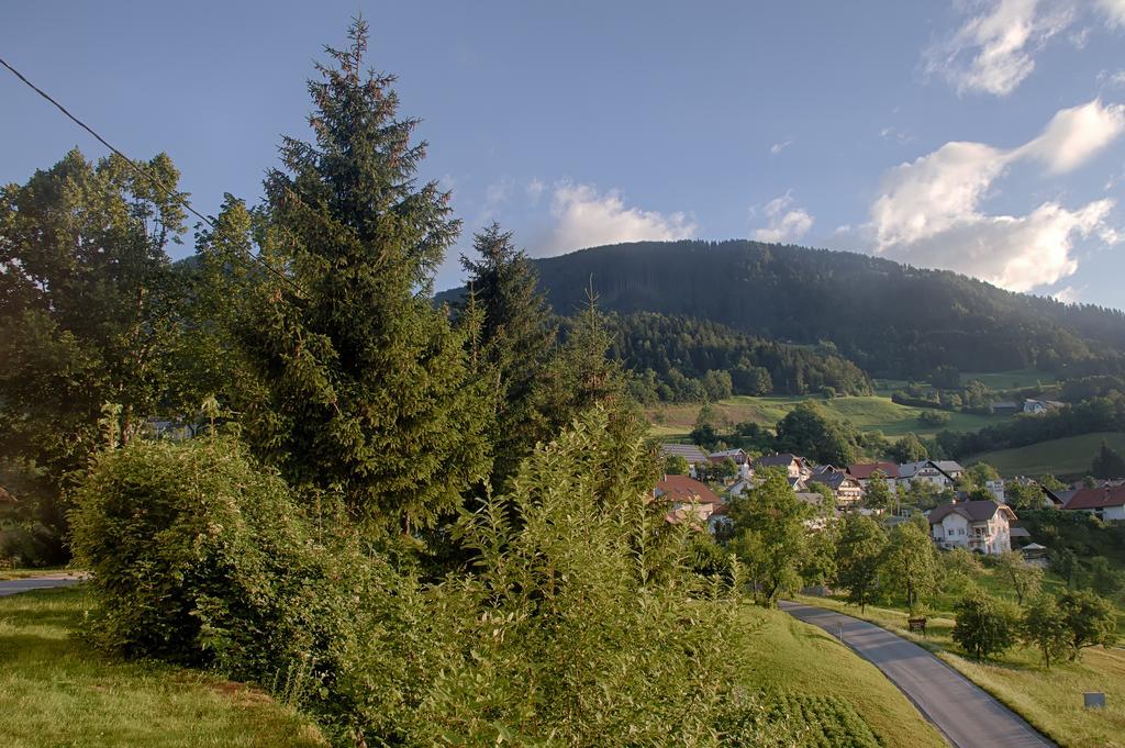 Gostilna Pension Blegos Poljane nad Škofjo Loko Buitenkant foto