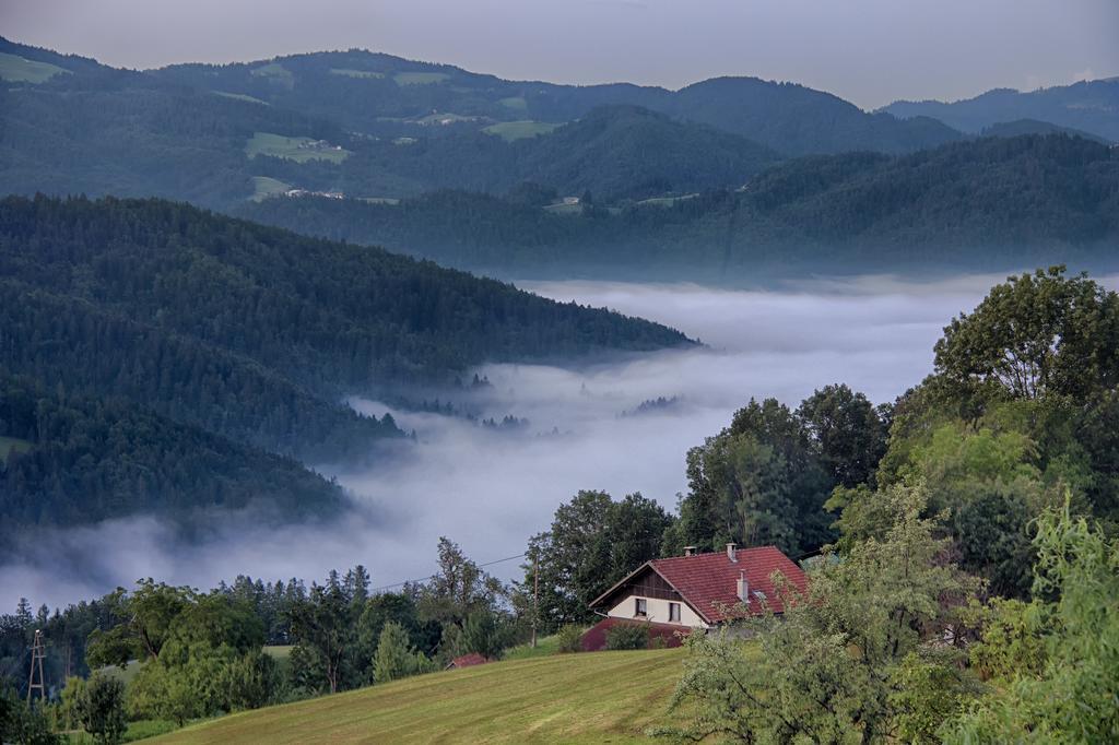 Gostilna Pension Blegos Poljane nad Škofjo Loko Buitenkant foto