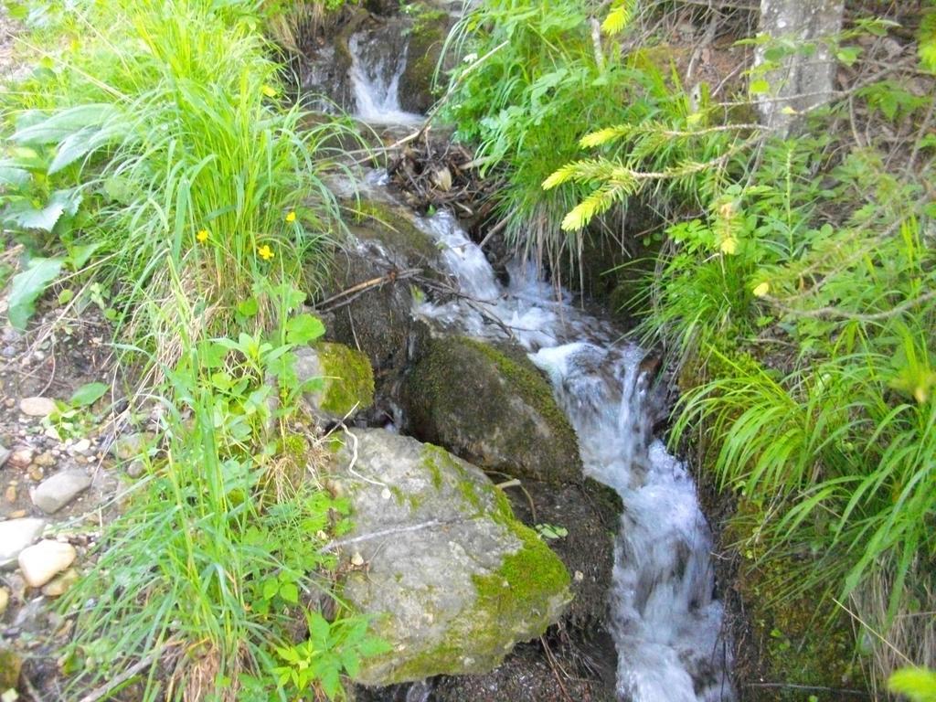 Gostilna Pension Blegos Poljane nad Škofjo Loko Buitenkant foto