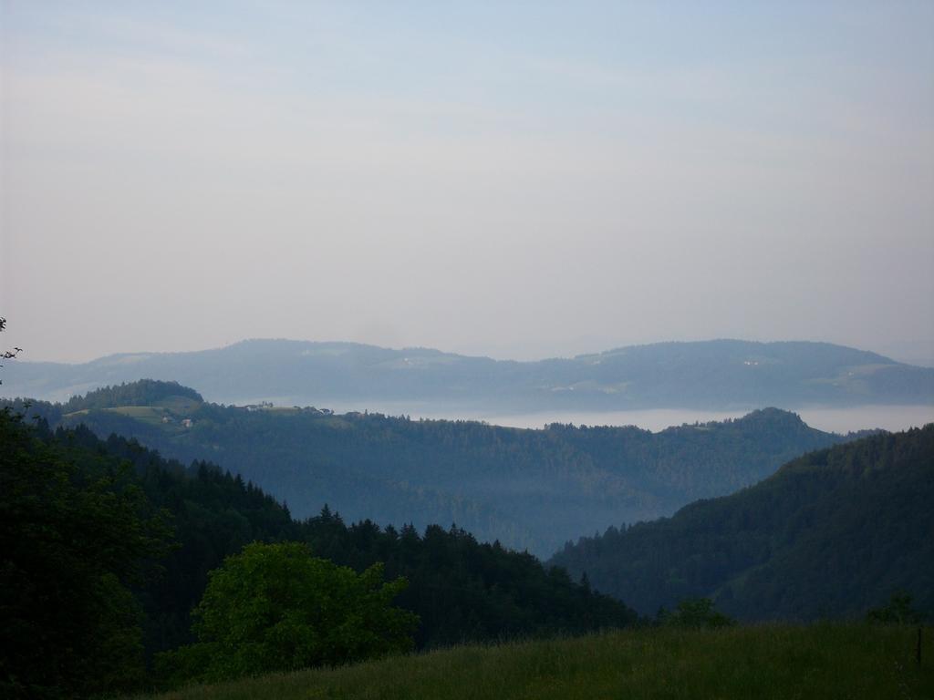 Gostilna Pension Blegos Poljane nad Škofjo Loko Buitenkant foto