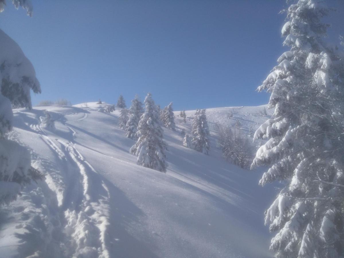 Gostilna Pension Blegos Poljane nad Škofjo Loko Buitenkant foto